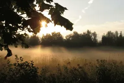 Each new dawn brings new hope