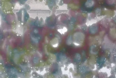 Car wash bubbles