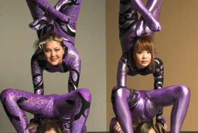 Purple Contortionists