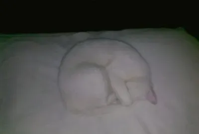 ME TAPO LOS OJOS