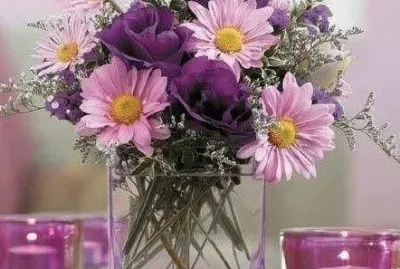 clear vases