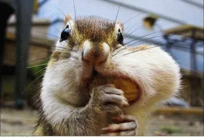 things jigsaw puzzle