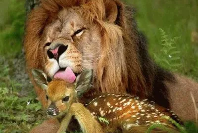 things jigsaw puzzle