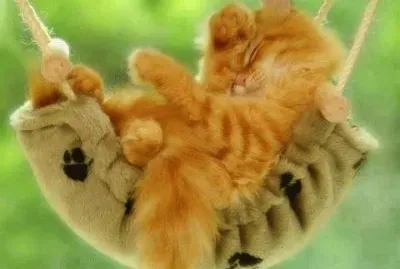 thigns jigsaw puzzle