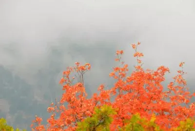 promise of fall Wyoming