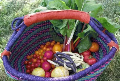 food from the garden