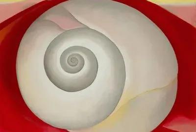 snail shell