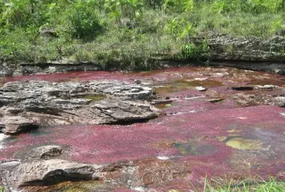 el rio de los siete colores