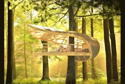 tree house 1