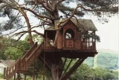 tree house 3