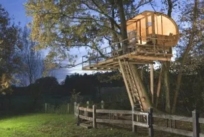 tree house 6