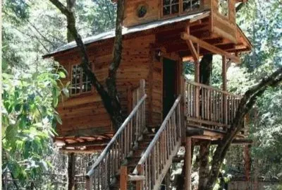 tree house 9.
