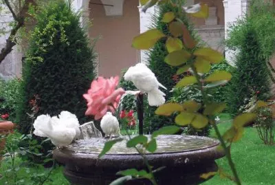 Giardino dell 'Abbazia di Montecassino