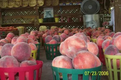 פאזל של Peach Stand