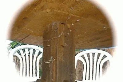 tablespider jigsaw puzzle