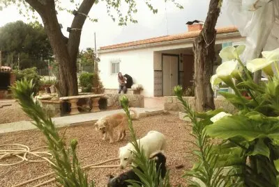 PETRA Y SUPERVILLANO