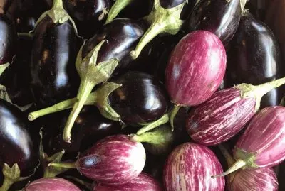 at the farmer 's market