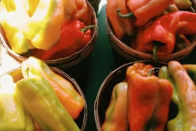 at the farmer 's market