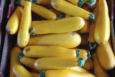 at the farmer 's market