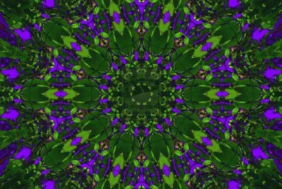 wild berry jigsaw puzzle