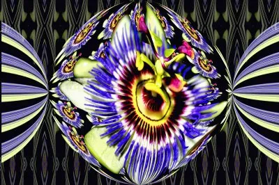 passion flower jigsaw puzzle