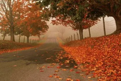 paisagem