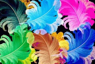 פאזל של 6busi iu