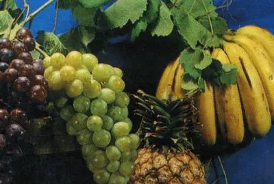 fruites