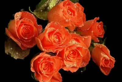 flor del desierto