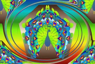 פאזל של peacock colours