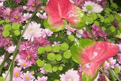 Flors