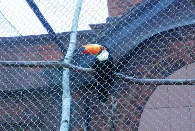 Zoo