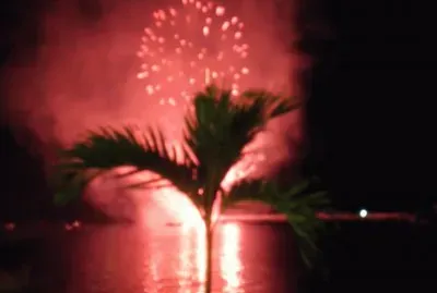 palmera jigsaw puzzle