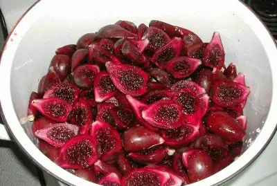 prickly pears