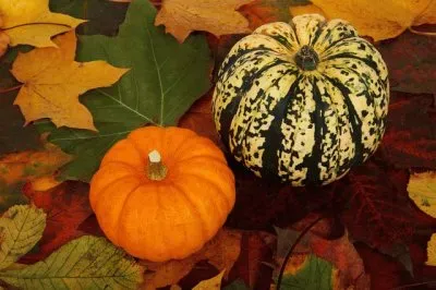 decorative and delicious jigsaw puzzle