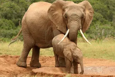 hglugÃºy089 jigsaw puzzle