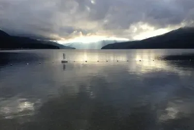 Early Morning at Harold Park, BC, Canada