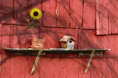 light and shadow jigsaw puzzle