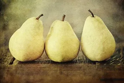 still life