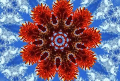 פאזל של patriot