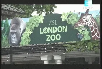 LONDON ZOO jigsaw puzzle