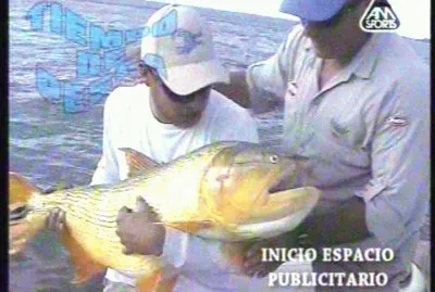DORADO