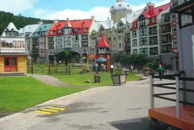 trembland jigsaw puzzle