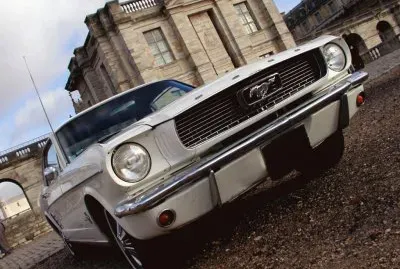Mustang