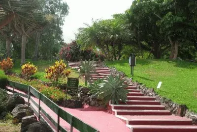 mas jardines