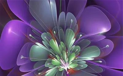 violets