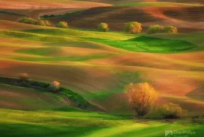 paisagem jigsaw puzzle