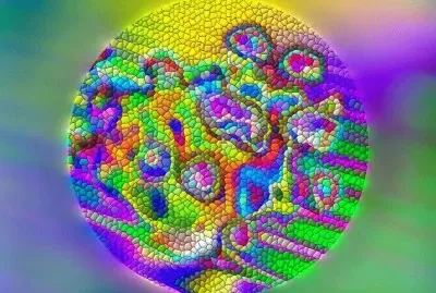 פאזל של dyr z bruuzt7