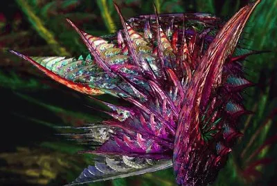 פאזל של dragon