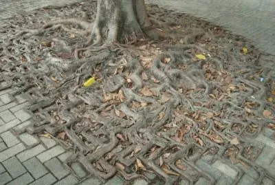 Life will find a way